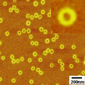 Doughnut-shaped nanostructure assembly