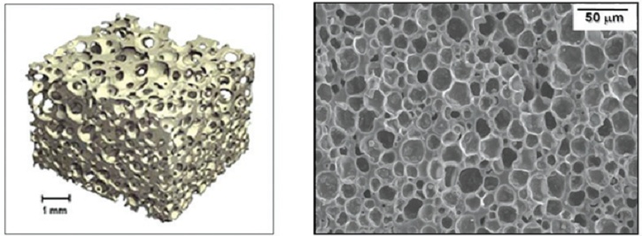 Conventional cellular ceramics (left) and microcellular ceramics