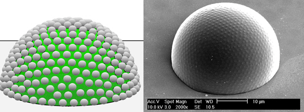 Scientists create 'artificial insect eye' to allow for wider, brighter view