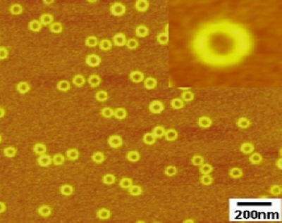 POSTECH develops nano-size 'doughnut' structure assembly image