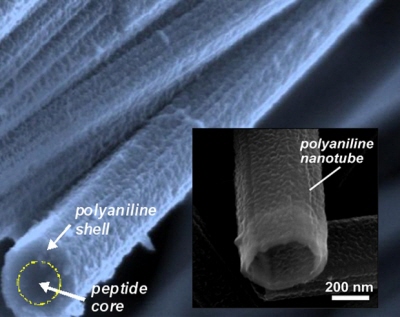 KAIST develops conducting nanowire image