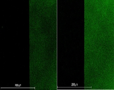 KAIST develops core technology for world's first surface plasmon OLED image