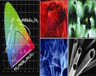 KAIST Professor Park Chan-beom develops multi-color 'bio-nanotube' image