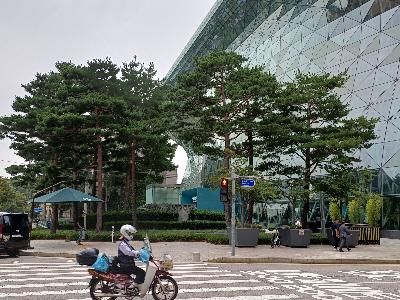 2025년 9월 걷기